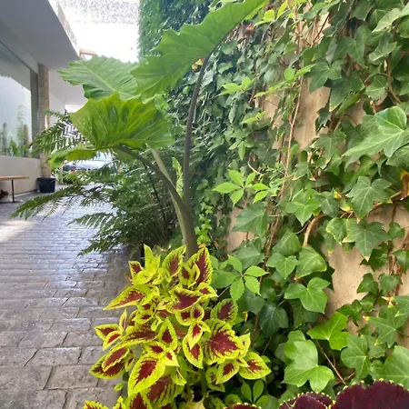 Apartman La Parata *