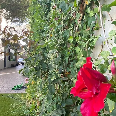 Apartman La Parata